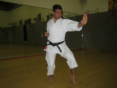 karate fotos 015
