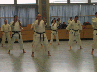 karate fotos 070