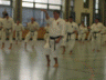 karate fotos 080